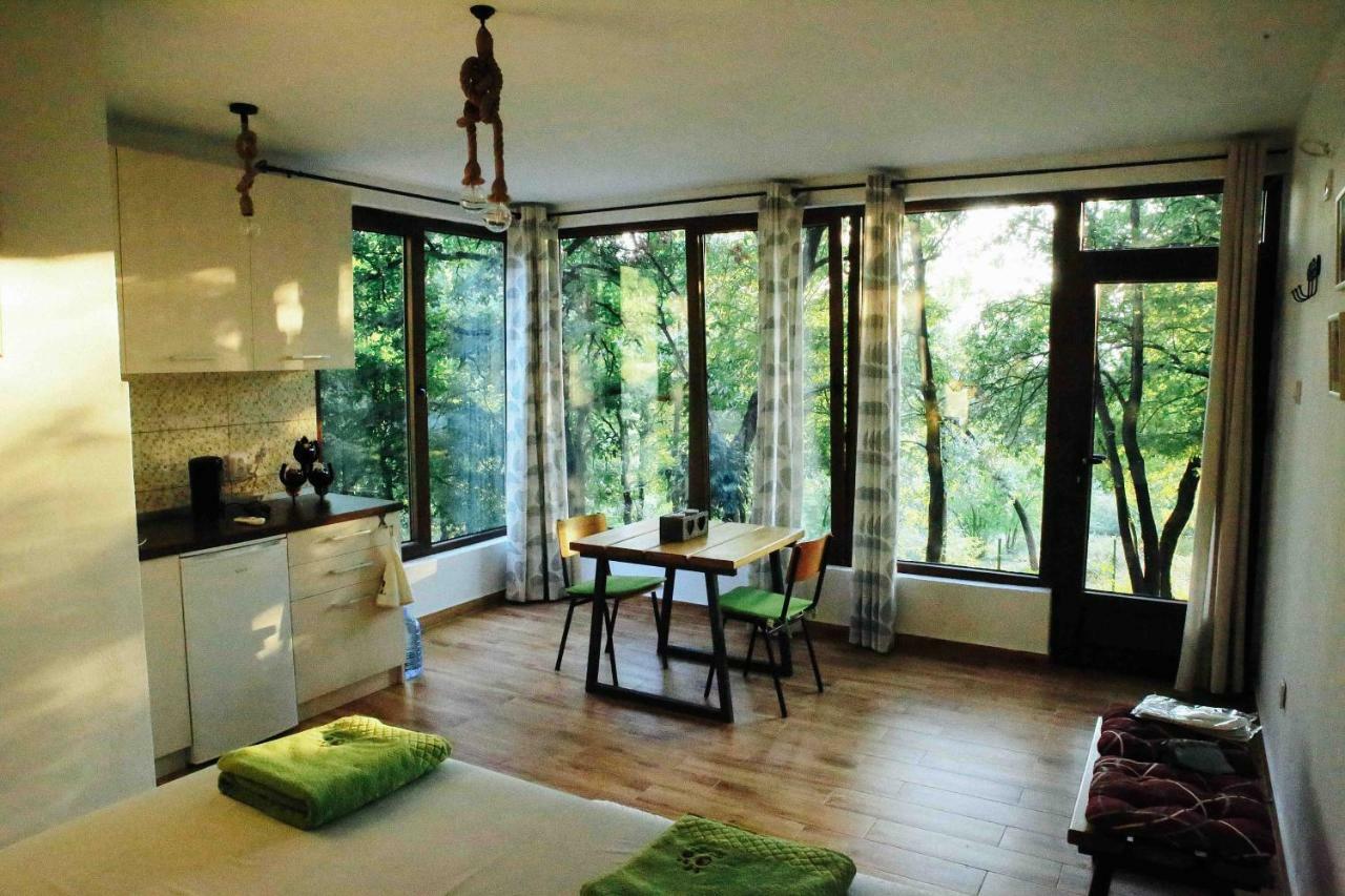 Bed and Breakfast Donkey Farm Martinici - Farma Magaraca Martinici Danilovgrad Exterior foto